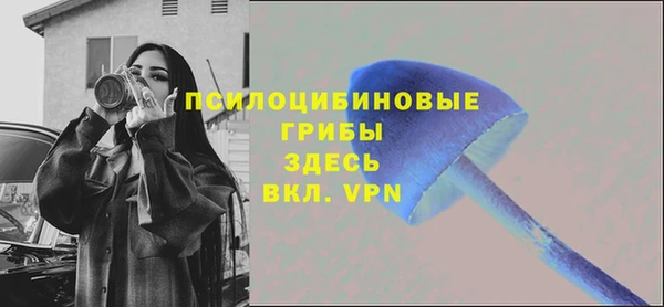 spice Алексеевка