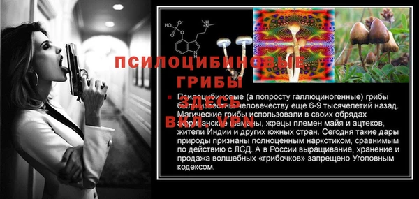 марки lsd Абаза