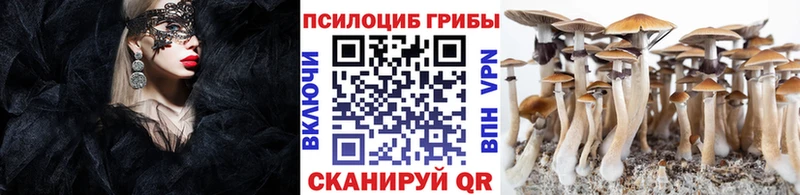 Псилоцибиновые грибы мицелий  Тамбов 