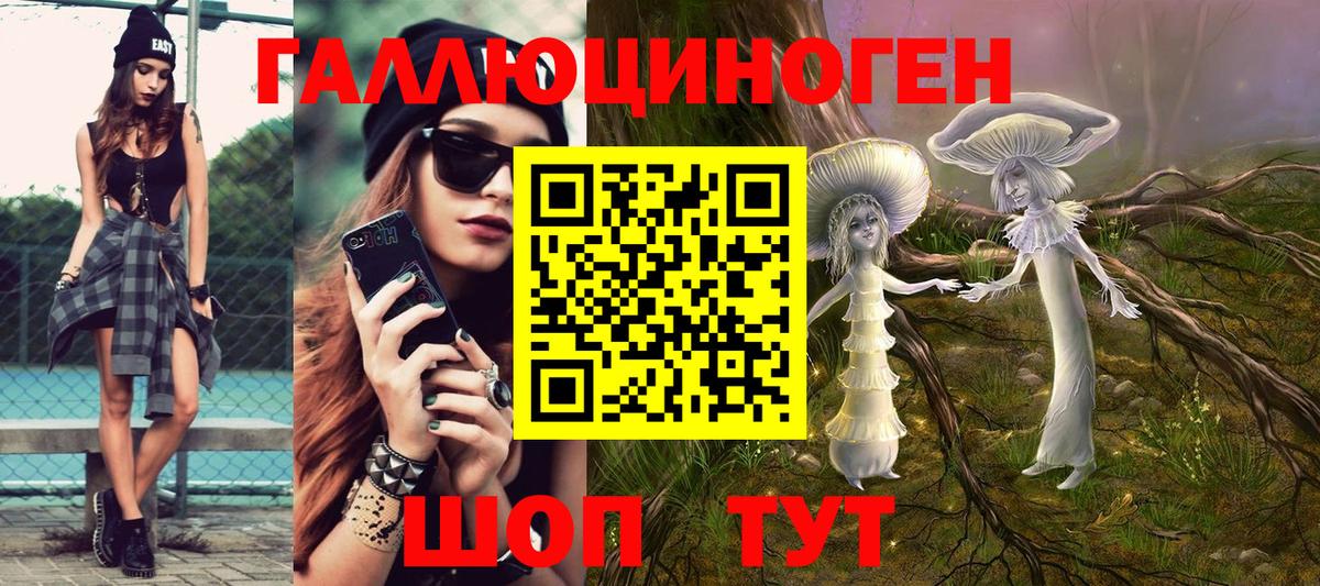 Галлюциногенные грибы Cubensis Тамбов