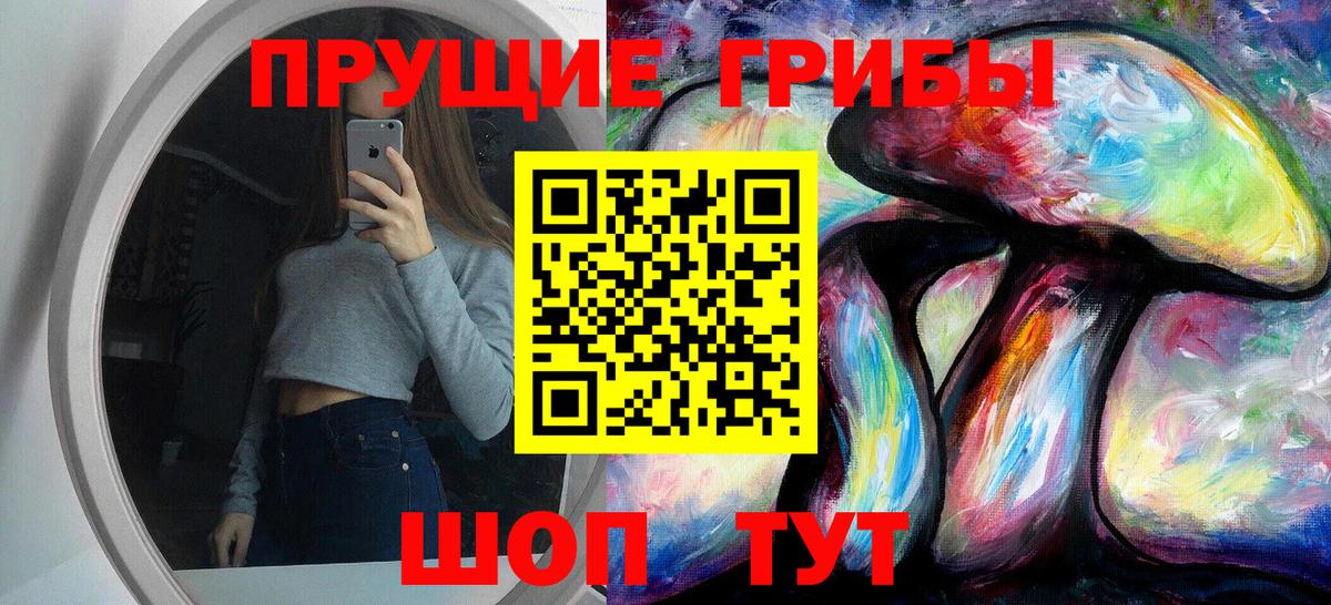 Галлюциногенные грибы Cubensis  Галлюциногенные грибы Psilocybe  Тамбов  Вход с VPN 