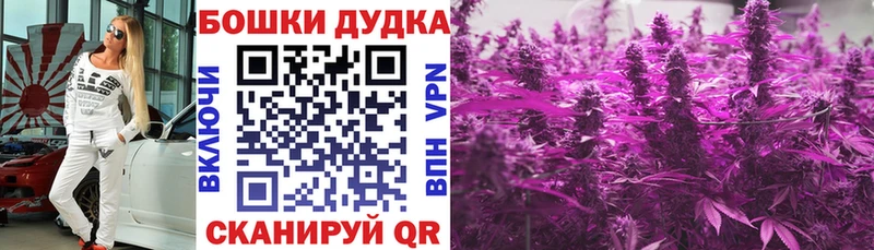купить наркоту  Тамбов  МАРИХУАНА ГИДРОПОН 